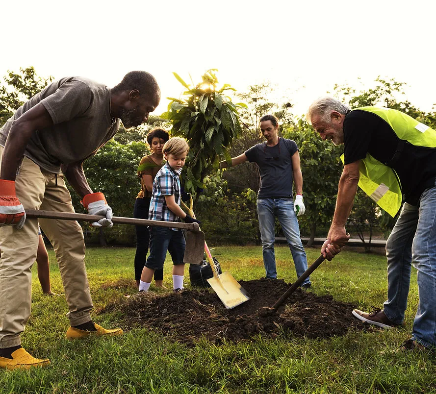 People planting a tree together in a community garden